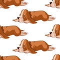 Vector seamless pattern with puppy. Hand drawn illustration with