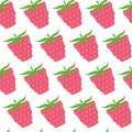 Vector Seamless Pattern of raspberry , Fruit Pattern, Berry Pattern,