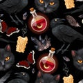 Seamless pattern with raven and black cat Royalty Free Stock Photo