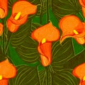 Vector seamless pattern with red calla
