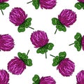 Vector seamless pattern with red clover shamrock wild field