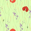 Vector seamless pattern with red poppies, white daisies, blue cornflowers and ears of wheat