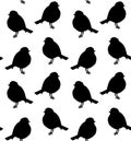 Vector seamless pattern of redbreast bird Royalty Free Stock Photo