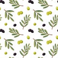 Vector seamless pattern with ripe black and green olives on white background Royalty Free Stock Photo