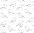 Vector seamless pattern of robin bird Royalty Free Stock Photo