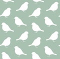 Vector seamless pattern of robin bird silhouette Royalty Free Stock Photo
