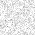 Vector seamless pattern with rose flowers line art on the white background. Hand drawn floral repeat ornament of blossoms sketch Royalty Free Stock Photo