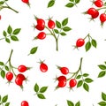 Vector seamless pattern with rosehip berries. Vector illustration. Royalty Free Stock Photo