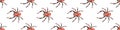 Vector seamless pattern of russet spiders. Color background and texture of theme of insects, animals, halloween, phobias