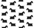 Vector seamless pattern of Scottish terrier Royalty Free Stock Photo