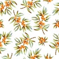 Vector seamless pattern with sea buckthorn berries