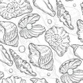 Vector seamless pattern sea shells and pearls different shapes. Clamshells monochrome black white outline sketch