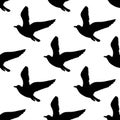 Vector seamless pattern with seagulls silhouettes. Black and white