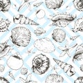 Vector seamless pattern of seashels. Isolated on light blue geometric trendy background. Royalty Free Stock Photo