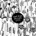 Vector seamless pattern set of ink drawing wild plants, herbs, monochrome botanical illustration, floral elements, hand