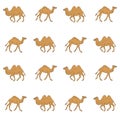 Vector seamless pattern of sketch camel silhouette Royalty Free Stock Photo