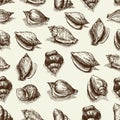 Vector seamless pattern sketch of seashells isolated on white background. Hand-drawn sea animals. Royalty Free Stock Photo