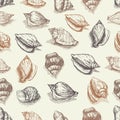 Vector seamless pattern sketch of seashells isolated on white background. Hand-drawn sea animals. Royalty Free Stock Photo