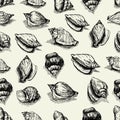 Vector seamless pattern. sketch of seashells isolated on white background. Hand-drawn sea animals. Royalty Free Stock Photo