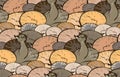 Vector seamless pattern with sleeping cats