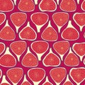 Vector seamless pattern with slised figs. Exotic fruits hand drawn background in doodle style Royalty Free Stock Photo