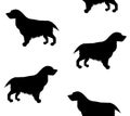 Vector seamless pattern of spaniel dog silhouette Royalty Free Stock Photo