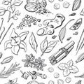 Vector seamless pattern of spices and herbs. Hand drawn elements on background in black and white.