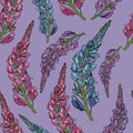 Vector seamless pattern, sprigs of lupins on a lilac background Royalty Free Stock Photo