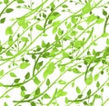 Vector Seamless Pattern, Spring Leaves, Light Green Watercolor Branches on White Background. Royalty Free Stock Photo