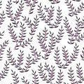 Vector seamless pattern with stylized heather branches. Beautiful floral design background for textile, bedding Royalty Free Stock Photo
