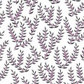 Vector seamless pattern with stylized heather branches. Beautiful floral design background for textile, bedding