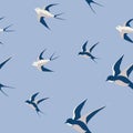 Vector seamless pattern with swallows