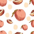 Vector Seamless Pattern Template, Peach, Fruits Background, Isolated on White Colorful Fruits. Royalty Free Stock Photo