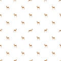 Pattern with Thomson`s gazelles