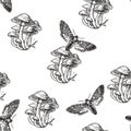 Vector seamless pattern with toadstools and death head moth in engraving style. Hand drawn texture with witching symbols isolated Royalty Free Stock Photo