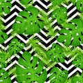 Vector seamless pattern with tropical leaves on abstract white black geometric zigzag background. Cute bright and fun Royalty Free Stock Photo