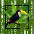 Vector Seamless pattern with tropical leaves and bird toucan