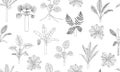 Vector seamless pattern of tropical plants