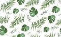 Vector seamless pattern with tropical watercolor style forest pa Royalty Free Stock Photo