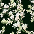 Vector seamless pattern. Tuberose - branches. Medicinal, perfumery and cosmetic plants. Wallpaper. Use printed mater