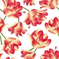 Vector seamless pattern with tulip flowers. Spring or summer design.