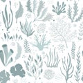 Vector seamless pattern with underwater ocean coral reef plants Royalty Free Stock Photo