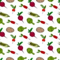 Vector seamless pattern with vegetables. Radishes, potatoes, corn, beets, artichoke hand-drawn, doodle style, isolated on white Royalty Free Stock Photo