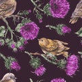 Vector seamless pattern with watercolor bird on a branch. Thistle natural wallpaper