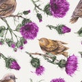 Vector seamless pattern with watercolor bird on a branch. Thistle natural wallpaper