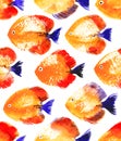 Vector seamless pattern with watercolor discus fish