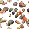 Vector seamless pattern with watercolor drawing shells Royalty Free Stock Photo