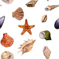 Vector seamless pattern with watercolor drawing shells Royalty Free Stock Photo