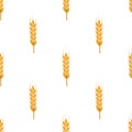 Vector seamless pattern with wheat ears. Organic food concept background for bakery package, bread products. Royalty Free Stock Photo