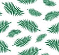 Vector seamless pattern of white hand drawn palm tree leaves silhouette on green background Royalty Free Stock Photo